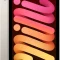 Apple IPad Mini Starlight