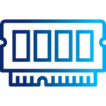 Memory Icon