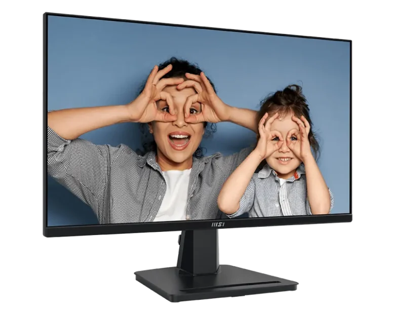 MSI Pro MP251 2