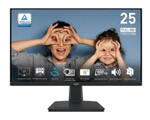 MSI Pro MP251