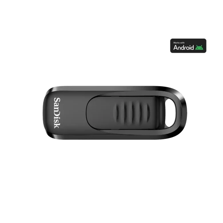 Hye Usb Sdcz480 256g G46 2